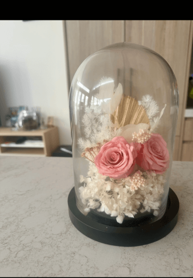 DIY Kit ONLY - Preserved Red Roses in a Glass Dome