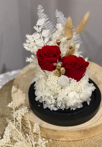 DIY Kit ONLY - Preserved Red Roses in a Glass Dome