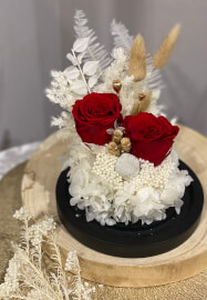 DIY Kit ONLY - Preserved Red Roses in a Glass Dome