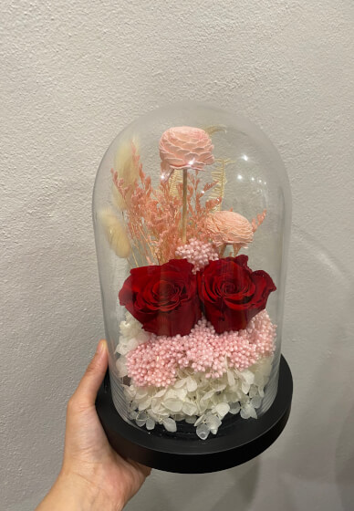 DIY Kit ONLY - Preserved Red Roses in a Glass Dome