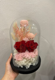 DIY Kit ONLY - Preserved Red Roses in a Glass Dome