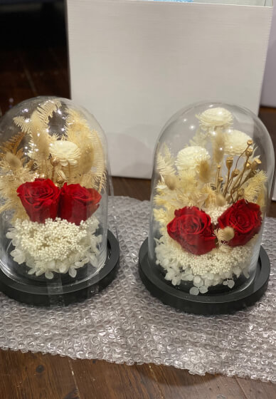 DIY Kit ONLY - Preserved Red Roses in a Glass Dome
