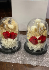 DIY Kit ONLY - Preserved Red Roses in a Glass Dome