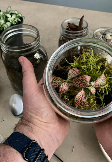 DIY Mini Sustainable Terrarium