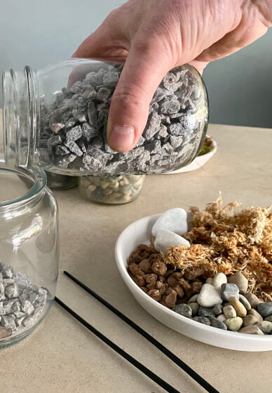 DIY Mini Sustainable Terrarium