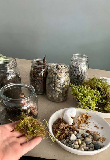 DIY Mini Sustainable Terrarium