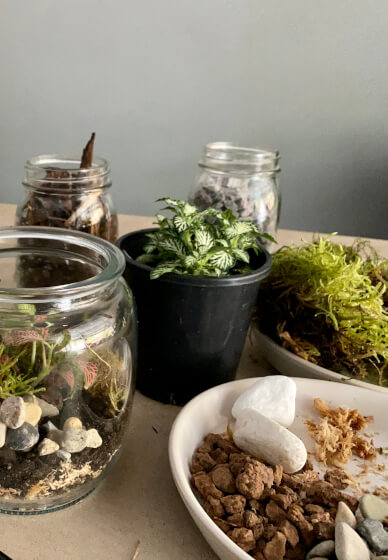 DIY Mini Sustainable Terrarium