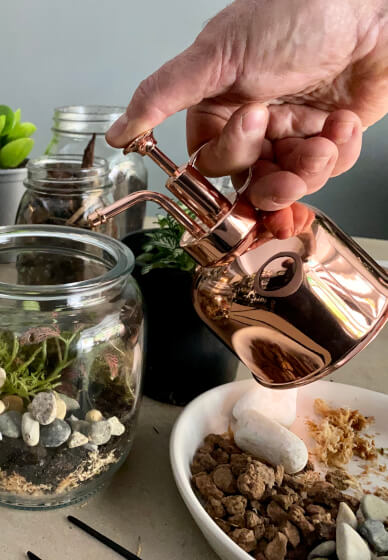 DIY Mini Sustainable Terrarium