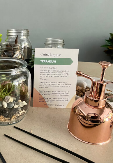 DIY Mini Sustainable Terrarium