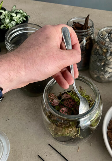 DIY Mini Sustainable Terrarium