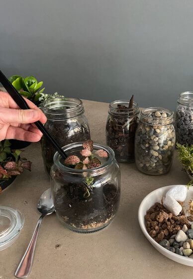 DIY Mini Sustainable Terrarium