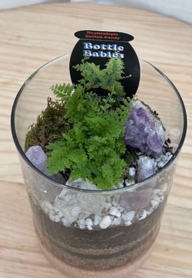 DIY Mini Terrarium Making Class
