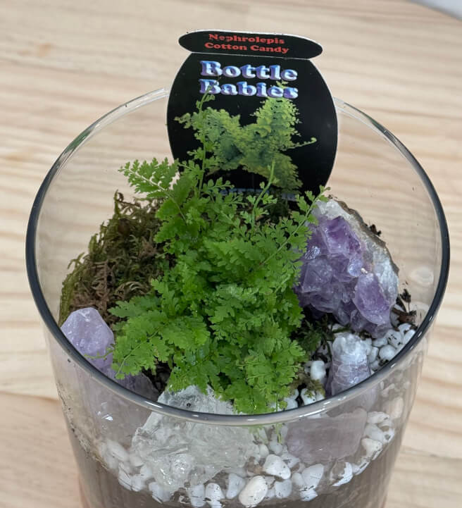 DIY Mini Terrarium Making Class