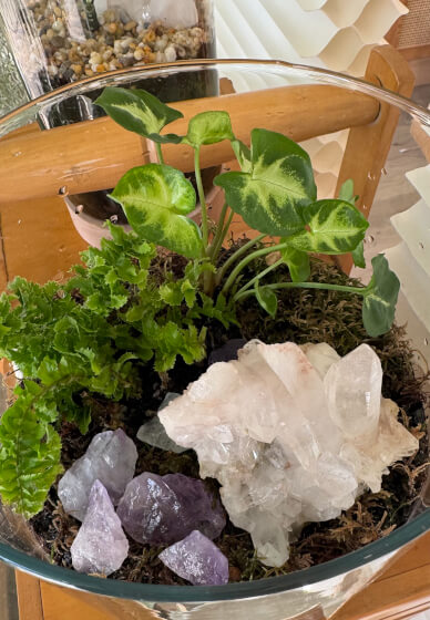 DIY Mini Terrarium Making Class