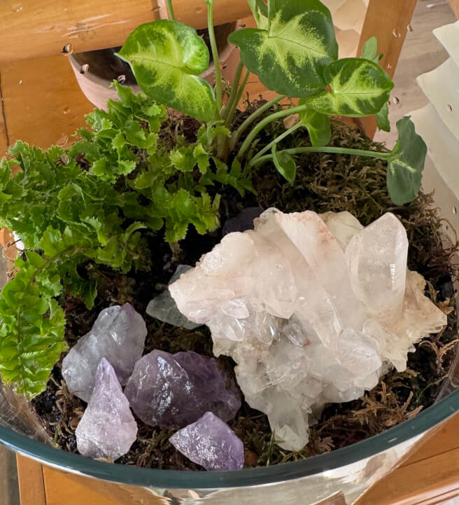 DIY Mini Terrarium Making Class