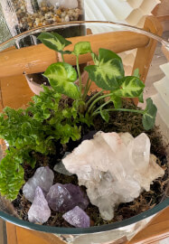 DIY Mini Terrarium Making Class