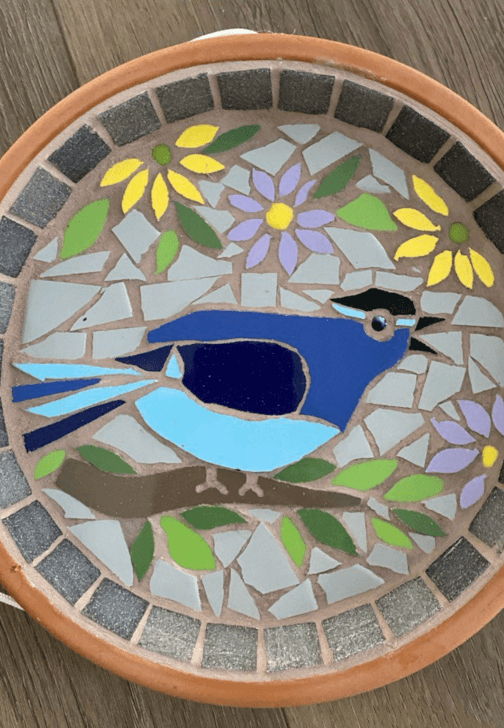 DIY Mosaic Bird Bath Kit – Fairy Wren