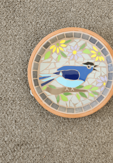 DIY Mosaic Bird Bath Kit – Fairy Wren