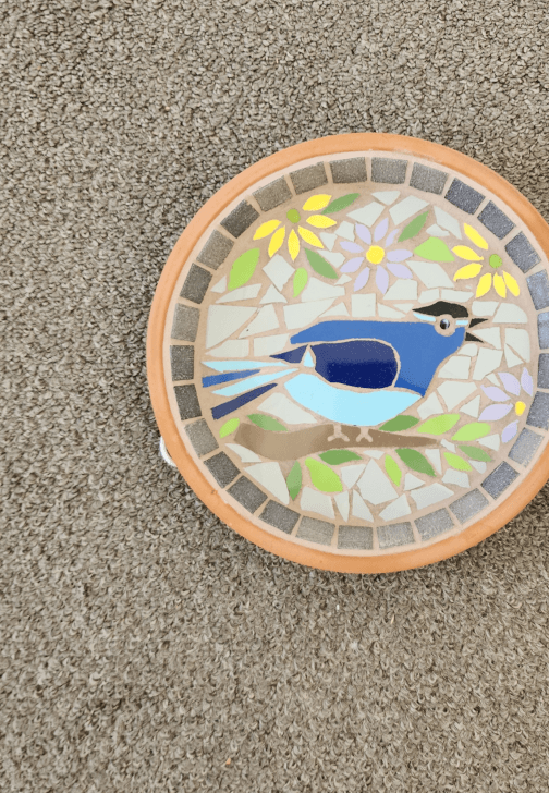 DIY Mosaic Bird Bath Kit – Fairy Wren