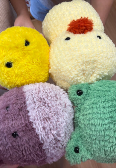 DIY Plushie Class