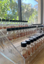 DIY Self-Guided Perfume Making Experience