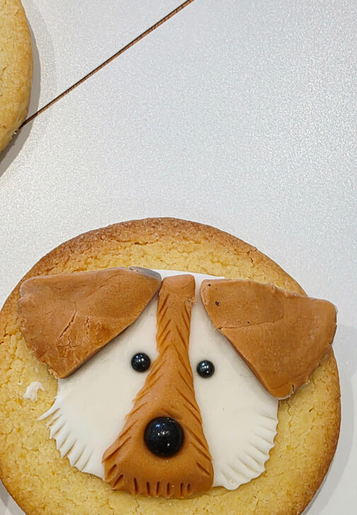 Dog Cookie Fondant Decorating Class for Kids