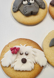 Dog Cookie Fondant Decorating Class for Kids