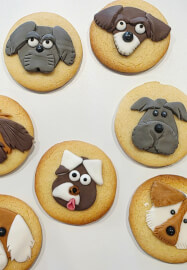 Dog Cookie Fondant Decorating Class for Kids