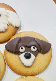 Dog Cookie Fondant Decorating Class for Kids