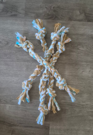 Dog Toy Workshop: Make and Take