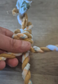 Dog Toy Workshop: Make at Home