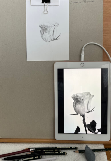 Drawing Class: Flowers in Graphite