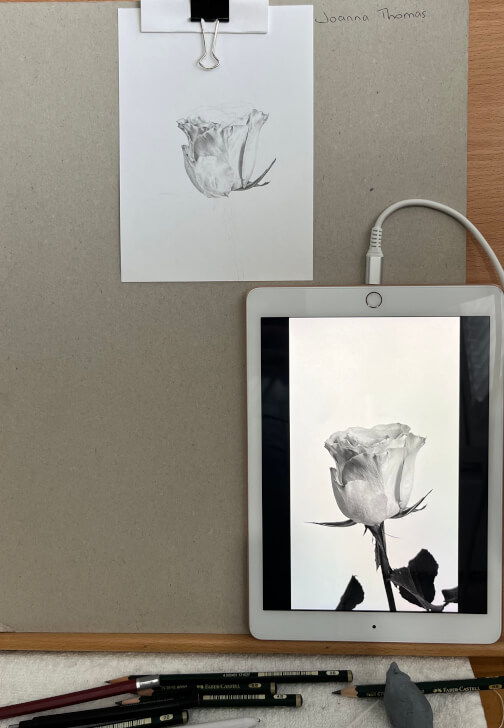 Drawing Class: Flowers in Graphite