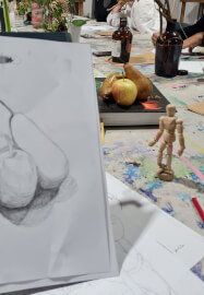 Drawing Class for Beginners