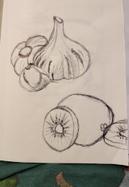 Drawing Class for Beginners