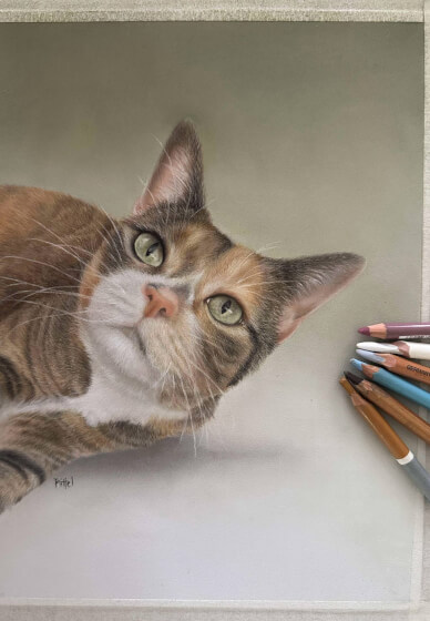 Drawing Class with Professional Artists Experience