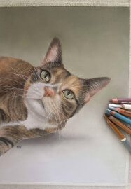 Drawing Class with Professional Artists Experience