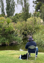 Drawing for Beginners & Experienced: Art of Landscape