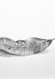 Drawing Leaves in Graphite Class