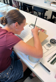 Drawing Seedpods in Graphite