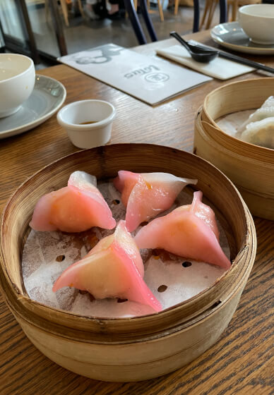 Dumpling Making and Fermented Matcha Mocktail Workshop