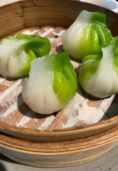 Dumpling Making and Fermented Matcha Mocktail Workshop