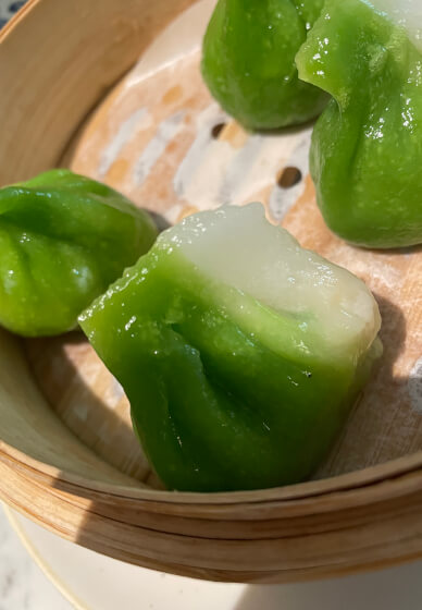 Dumpling Making and Fermented Matcha Mocktail Workshop