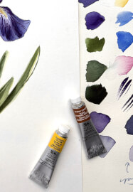 Dutch Iris Watercolour Painting Class