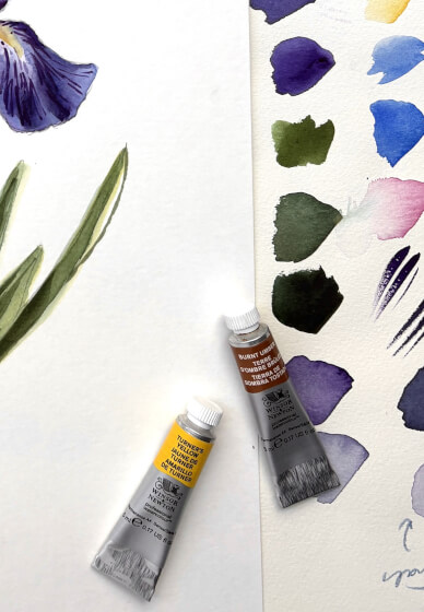Dutch Iris Watercolour Painting Class