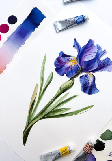 Dutch Iris Watercolour Painting Class