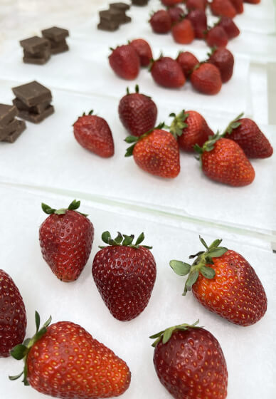 Easter Chocolate Melting Moments Workshop