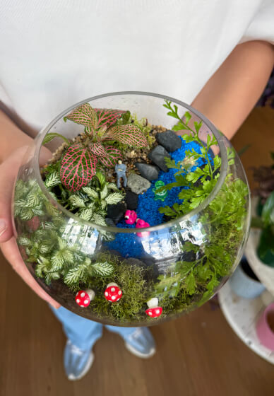 Easter Special Tropical Terrarium Workshop in Sydney