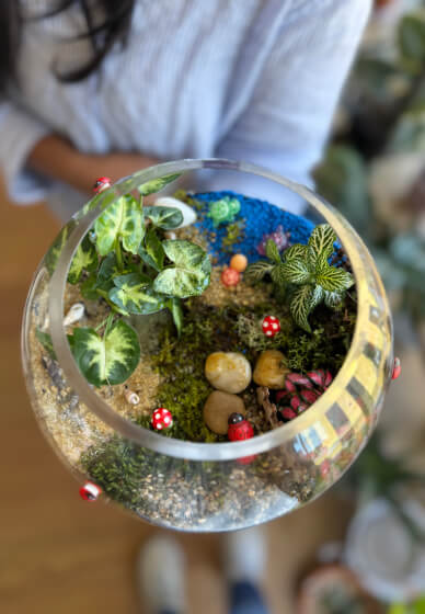 Easter Special Tropical Terrarium Workshop in Sydney