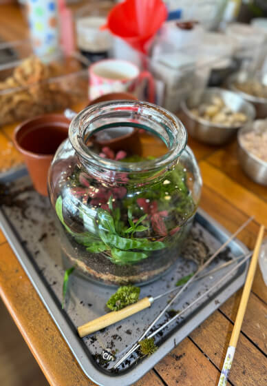 Easter Special Tropical Terrarium Workshop in Sydney